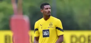 دورتموند يعلن إصابة سيباستيان هالر